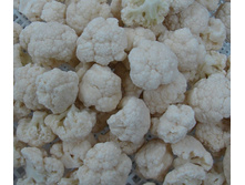 ������� ������� �������. �� ������ (10��/���)