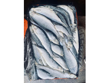 ������ 380+ ��������� �������