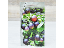 ����� ����� ������� ޣ���� / ���� ���������