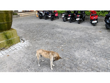 IMG 20260307 170500.jpg