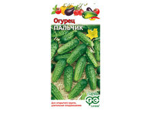 ������ ������� // ������.png