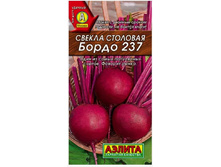 ������ ����� 237 // ������.jpg