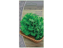 ����� �������� ��������� ���� ���������