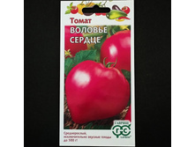 ����� ������� ������ // ������.jpg