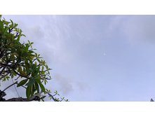 IMG 20260309 064356.jpg