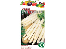 ������ ������������� // ������.jpg