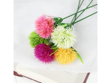 ����� ������������� <<������>>, 5x28 ��, ���� 30 ���