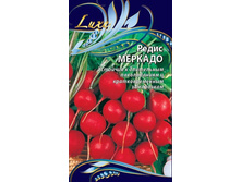 ����� ������� / ���� ���������