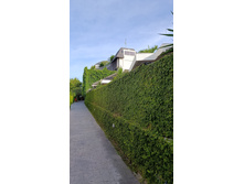 IMG 20260307 170253.jpg