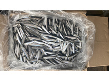 ������ ����������