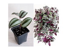 ������������ �������.png