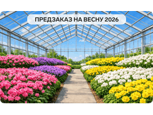 ���� �� 10.04. ������� - �������� - � ���� � �������! �������� �ӣ �� � �� � - �������� ����� ��� ����! �������� ������ 2026.