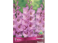 ��������� ������.png