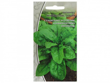 ������ ������������ ����������� / ���� ���������