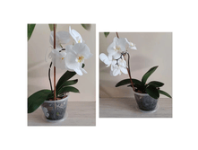 ���������� (������� �����).png