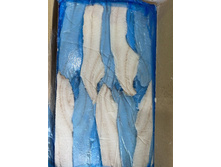 ���� ������ ������