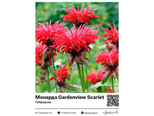 ������� Gardenview Scarlet (���������) 210 ���.