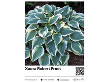 ����� Robert Frost ��������� ���. 13038. 299 ���.