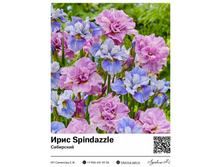 ���� Sibirica Mixed (���������) ��������� ���. 14022. 239 ���.