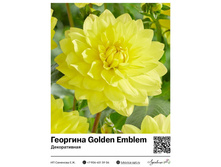 �������� Golden Emblem (������������) ��������� ���. 9012. 336 ���.