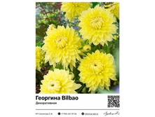 �������� Bilbao (������������) ��������� ���. 9004. 366 ���.