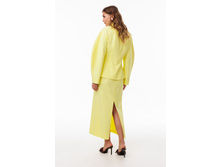 3123 limon 4715.jpg