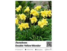 �������� Double Yellow Wonder (��������) ��������� ���. 10014. 246 ���.