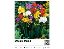 ������ Mixed (��������) 30 ���.