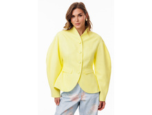 3123 1 limon 4642.jpg