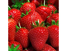 ��������� ������