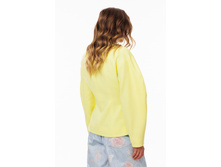 3123 1 limon 4672.jpg