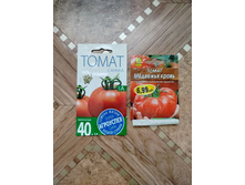 IMG 20260328 084941 788.jpg