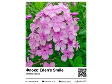 ����� Eden's Smile (�����������) 160 ���.