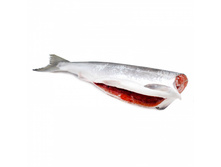 ����� �/� 1/20 ����-���