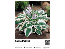 ����� Patriot ��������� ���. 13043. 309 ���.