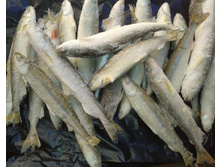 ������� �/� ���������