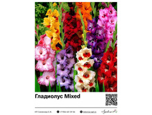 ��������� Mixed ��������� ���. 2250. 35 ���.