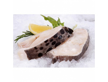 ����� ������� �������