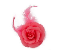 ������ �����  6 ��