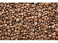 500x500.3ba60a2687f37b02.jpg