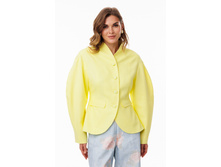3123 1 limon 4645.jpg