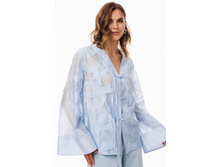 3117 blue 4919.jpg