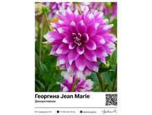 �������� Jean Marie (������������) ��������� ���. 9026. 376 ���.