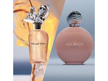 Solar Max Philip 100��
