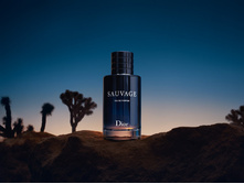 Sauvage Eau de Parfum 100��