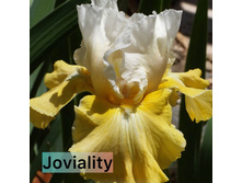 Photo-output.jpeg