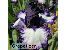 Photo-output.jpeg