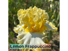 Photo-output.jpeg