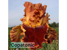 Photo-output.jpeg