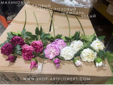 Efa71de6-4a88-430a-afe2-b4bfe5f11373.jpg